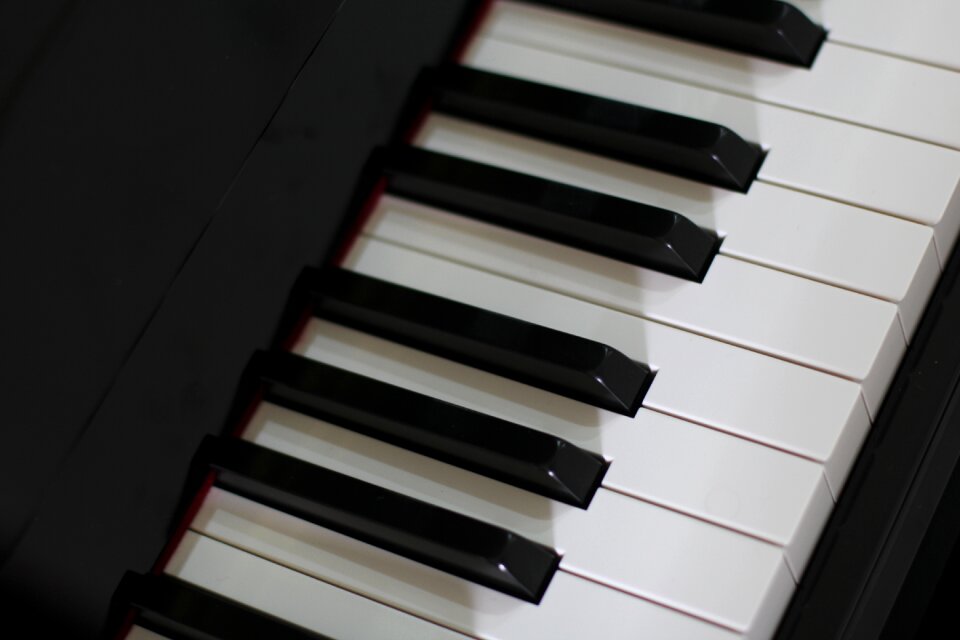 Ivory metal key gray piano