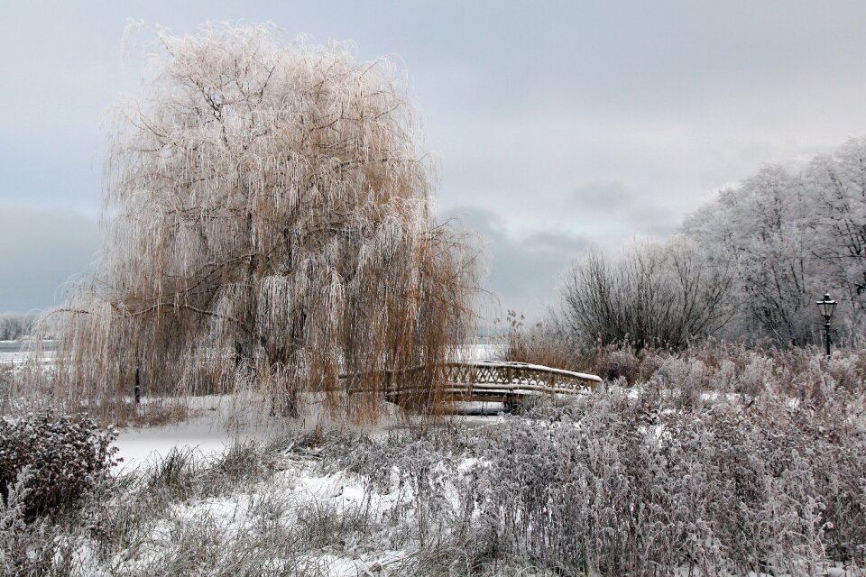 Schweriner see winter frost