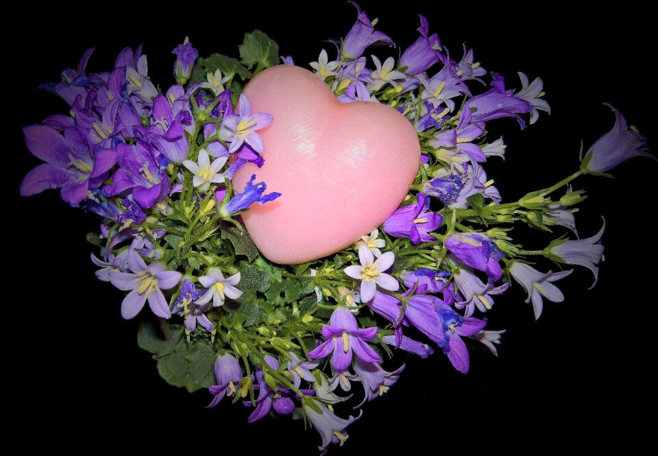 Light and dark purple flowers pink heart beautiful