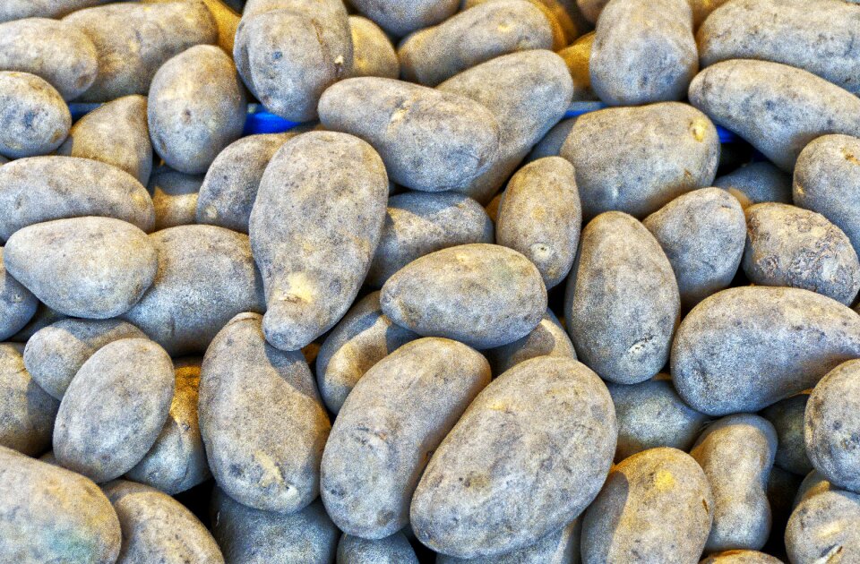 Tuber vegetables herdöpfel