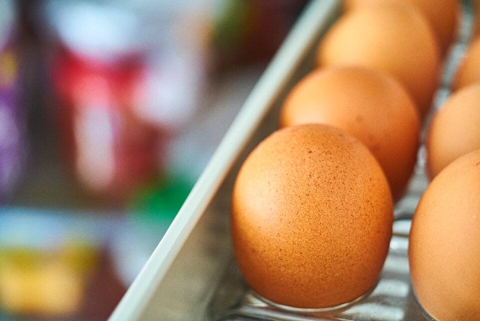 Ovarian refrigerator spawn