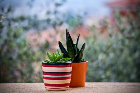 Garden terrace outdoors