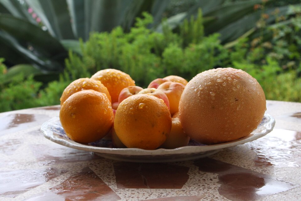 Grapefruit citrus fruits fruit plate