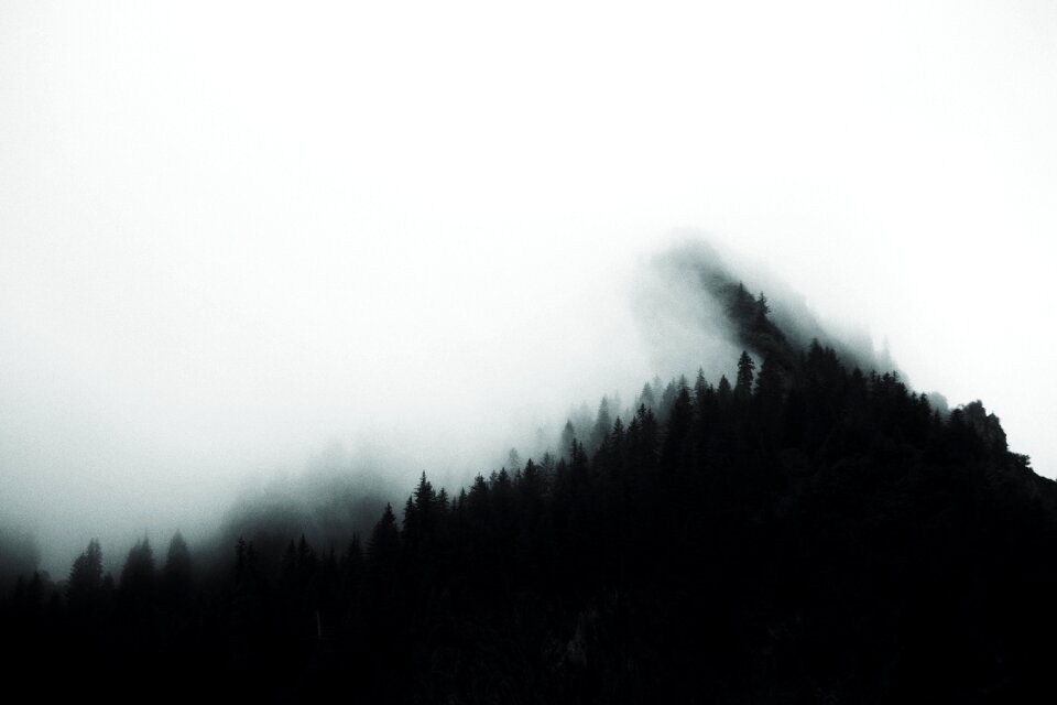 Fog dark nature