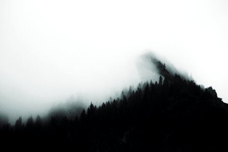 Fog dark nature photo