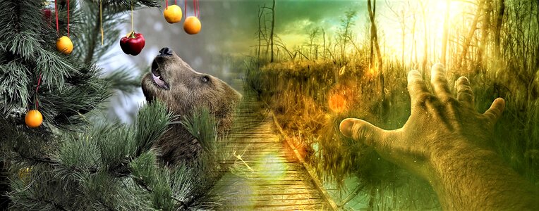 Desktop background wildlife panoramic