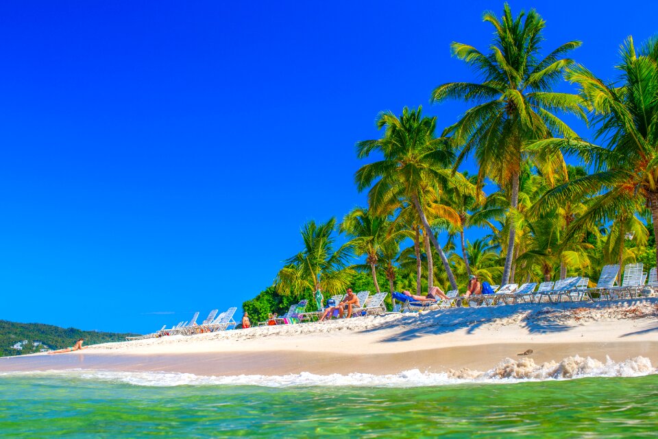 Adobe palm trees tourism