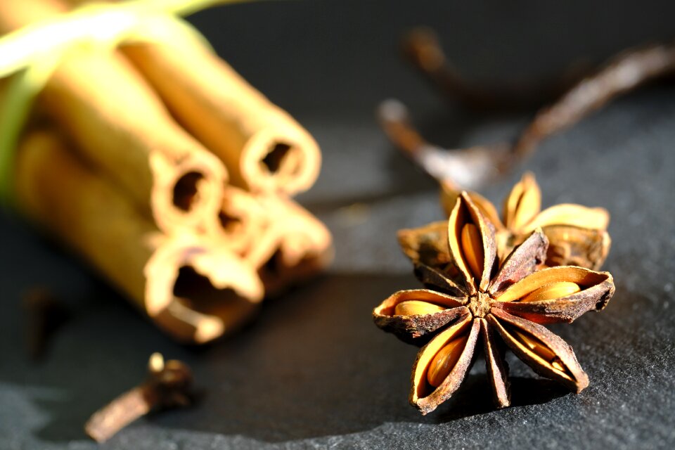 Cinnamon stick cloves vanilla photo