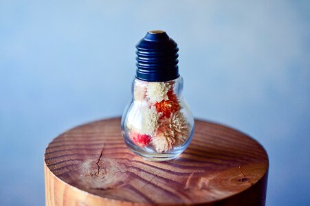 Dried flowers colorful miscellaneous goods