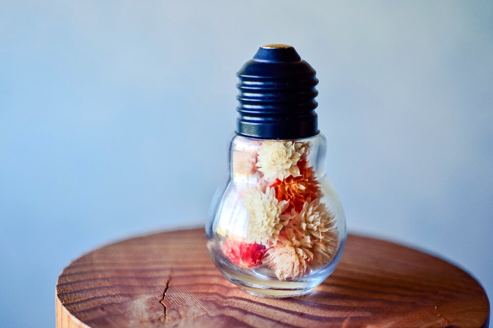 Dried flowers colorful miscellaneous goods