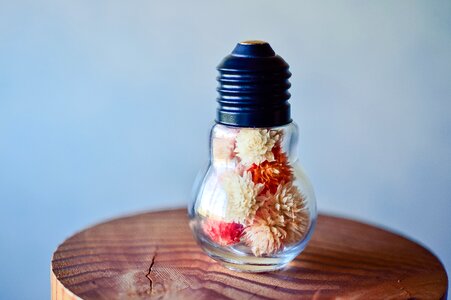Dried flowers colorful miscellaneous goods