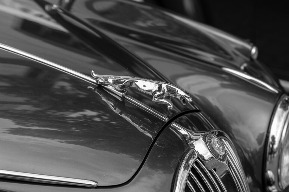 Chrome shiny classic