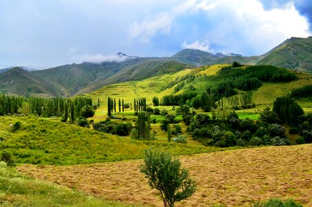 Landscapes nature sky grass