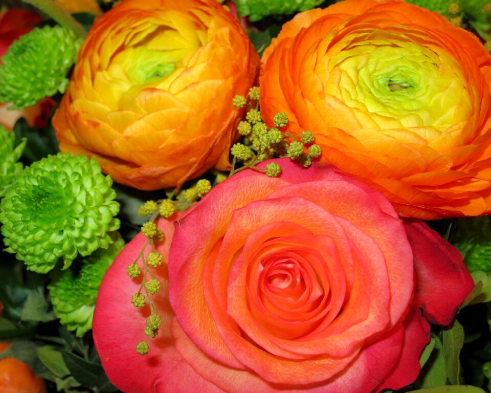 Flowers yellow pink