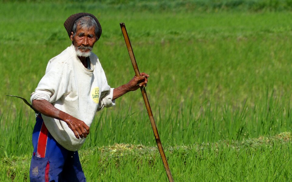 Outdoors bali field