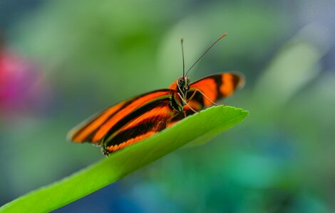 Bokeh sitting waiting photo