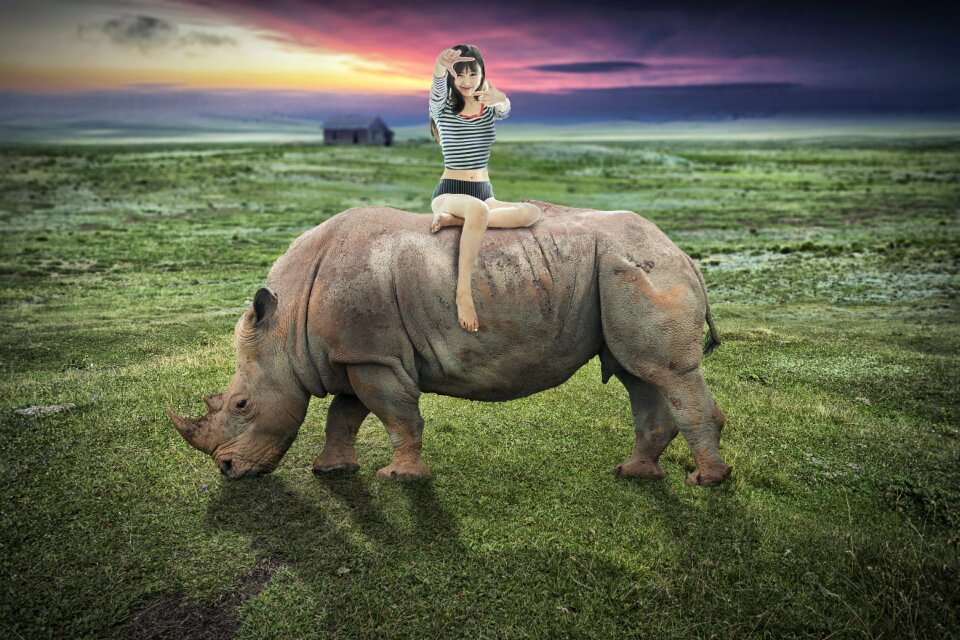 Wildlife grass travel