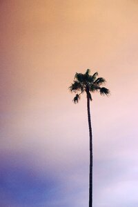 Nature outdoor sky