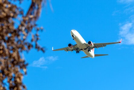 Plane landing townsville airport blue plane