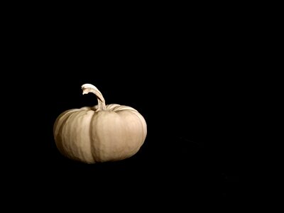 Squash october november photo