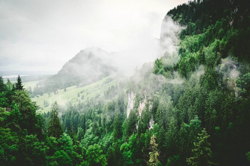 Slope fog green