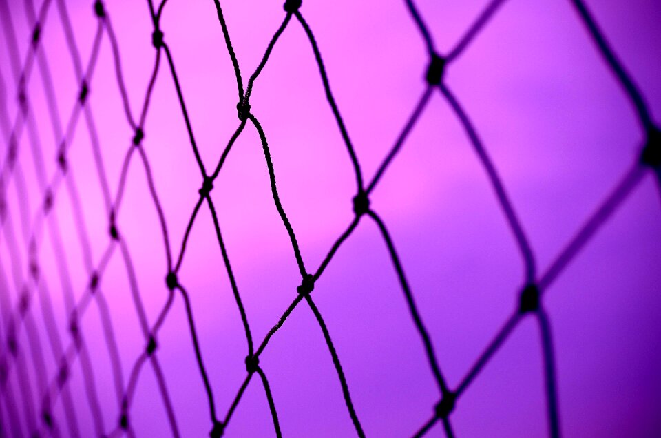 Net mesh lilac abstract