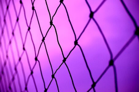 Net mesh lilac abstract photo