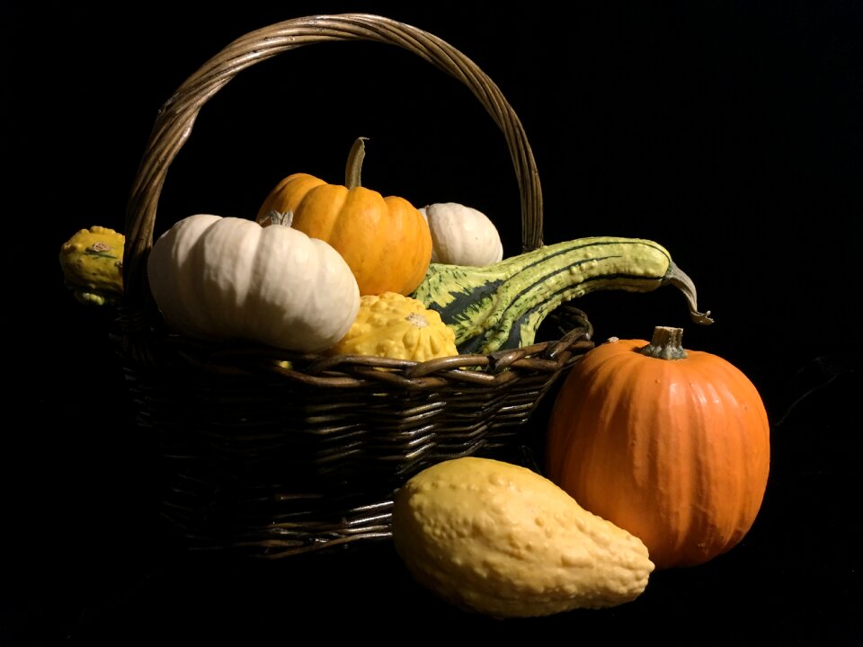 Still life vegetable group