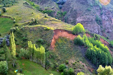 Landscapes nature sky grass