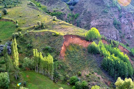 Landscapes nature sky grass photo