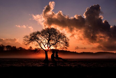 Nature sky silhouette