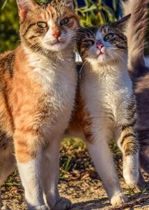 Brothers playing outdoor