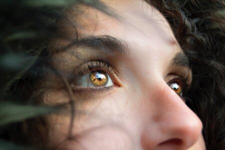 Eyes brown pupil