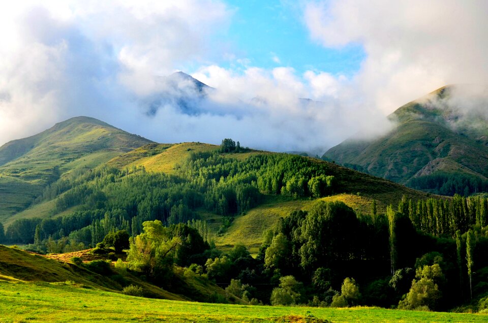 Landscapes nature sky grass