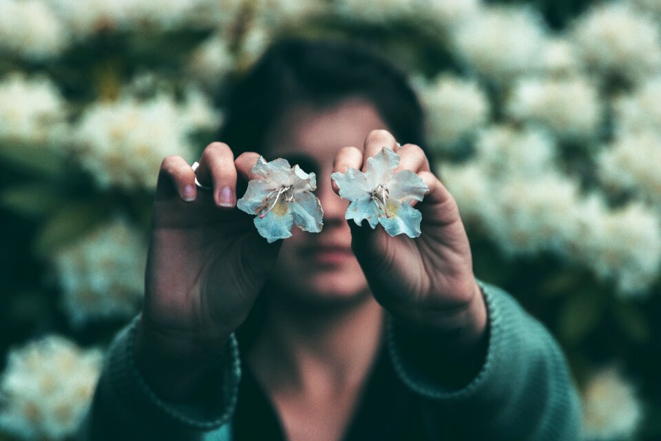 Flower petals garden