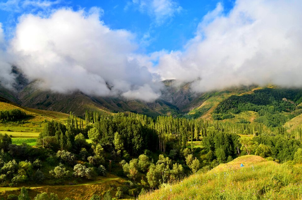 Landscapes nature sky grass