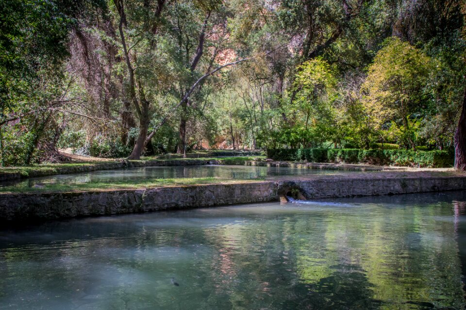 Wood river landscape photo