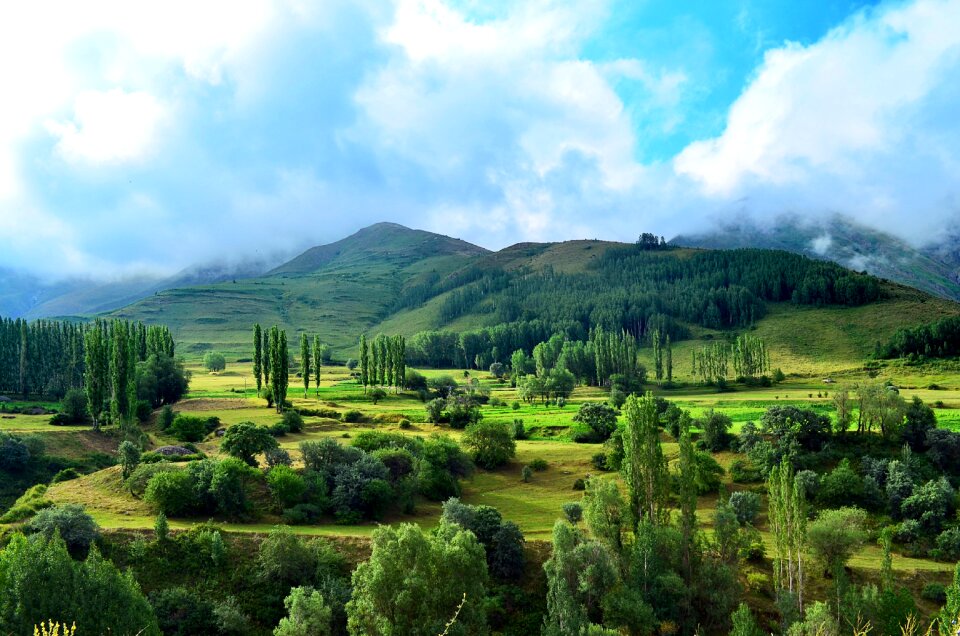 Landscapes nature sky grass
