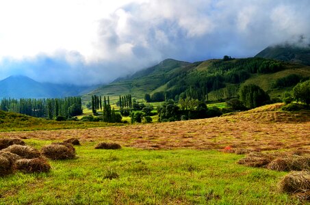 Landscapes nature sky grass photo