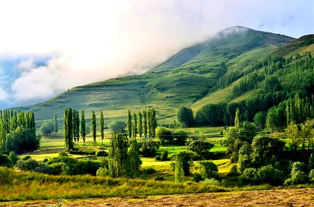 Landscapes nature sky grass