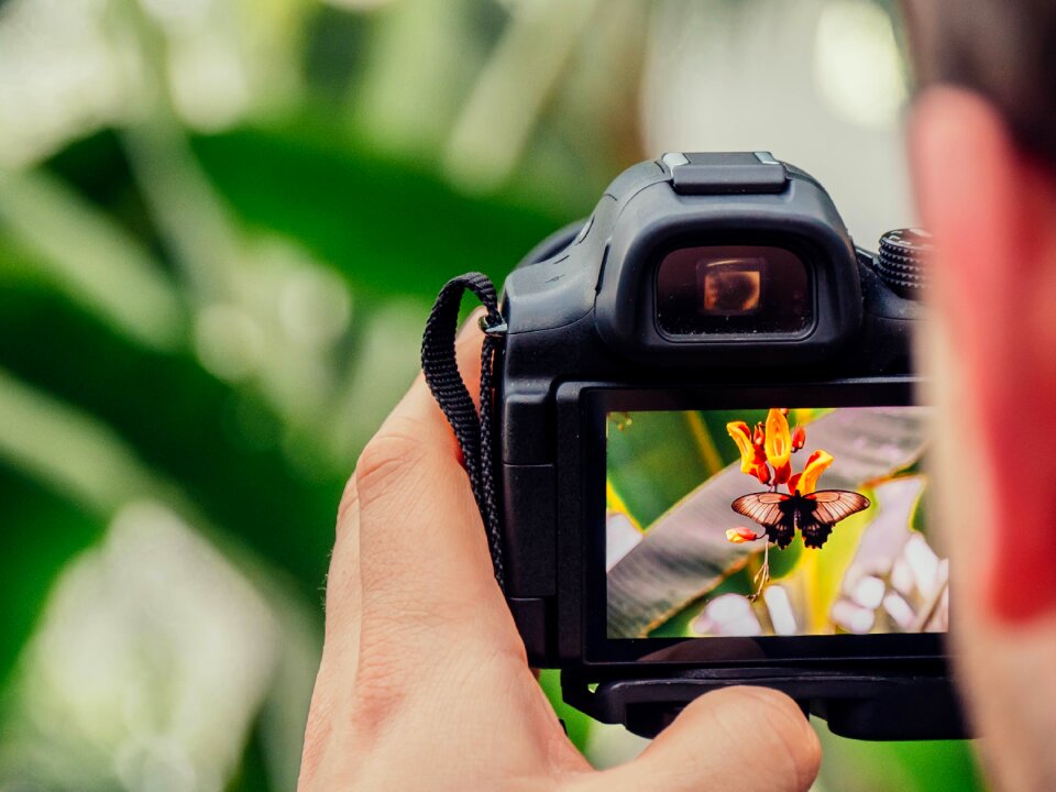 Camera photography close up
