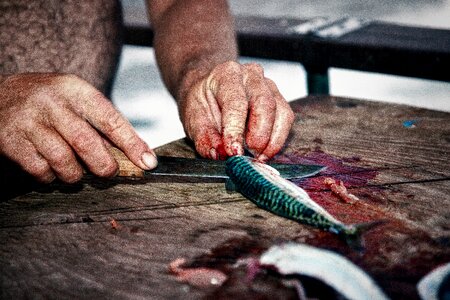 Gutting cutting boat