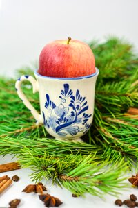Apple cinnamon food
