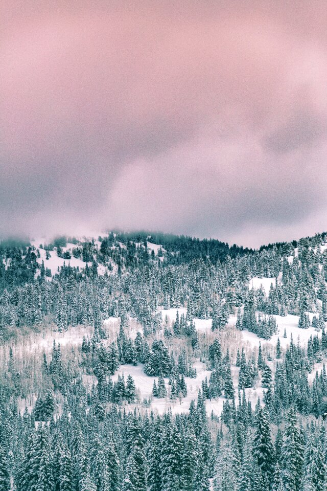 Cold weather ice