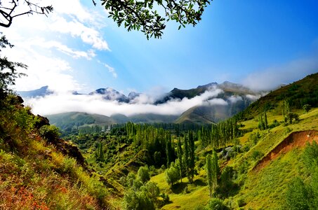 Landscapes nature sky grass