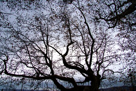 Landscape autumn mood nature