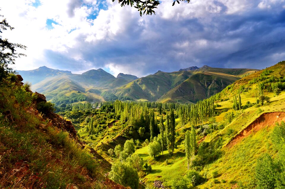 Landscapes nature sky grass
