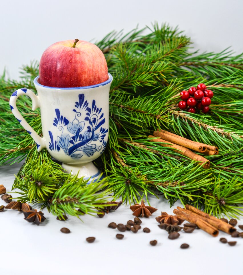 Apple cinnamon food