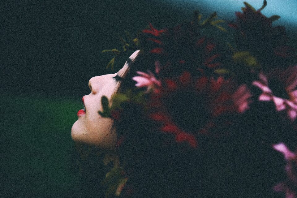 Flower red petals