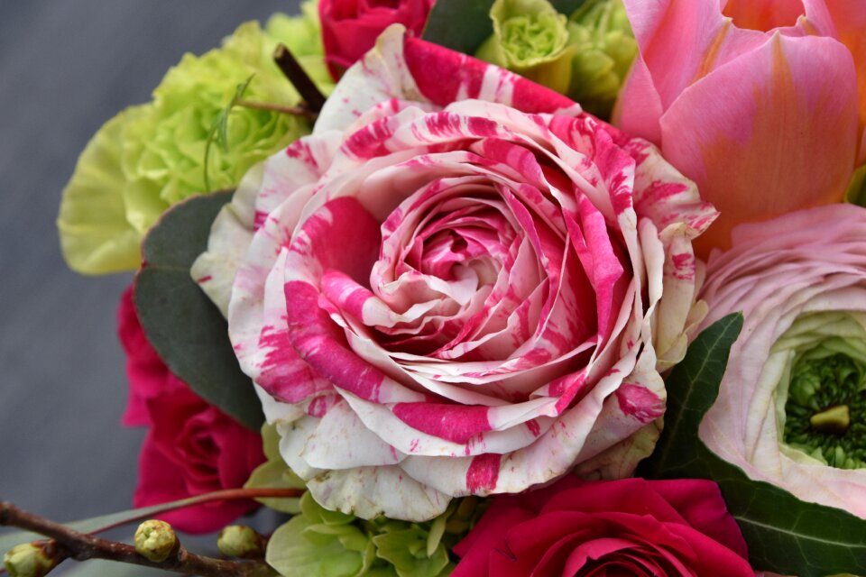 Floral bouquet of flowers bouquet